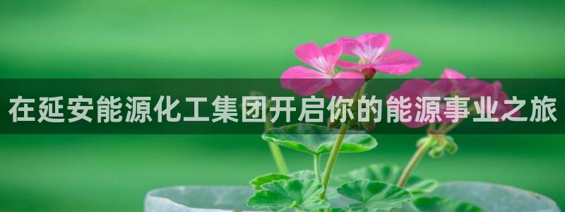 球盟会在线登录官网：在延安能源化工集团开启你的能源事业之旅