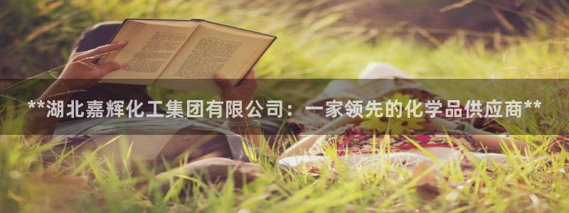 球盟会最新：**湖北嘉辉化工集团有限公司：一家领先的化学品供