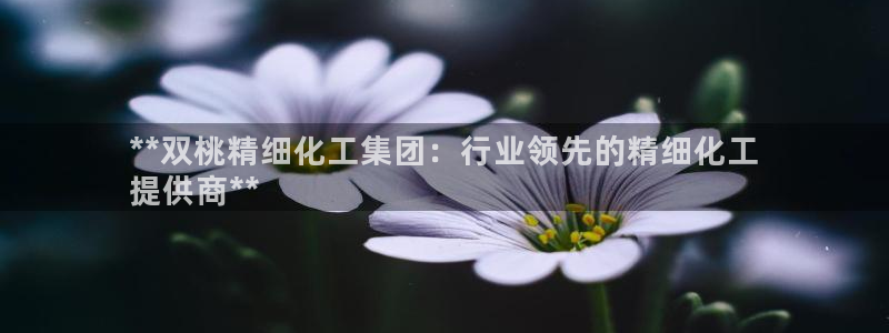 球盟会中国网页登录：**双桃精细化工集团：行业领先的精细化工