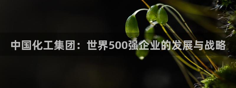 球盟会官方网站是什么
