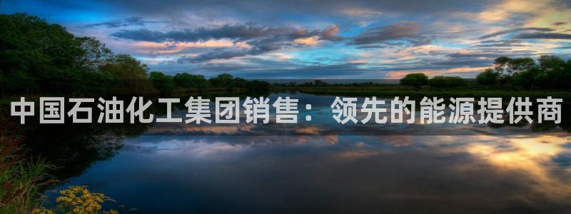 球盟会最新地址备用：中国石油化工集团销售：领先的能源提供商
