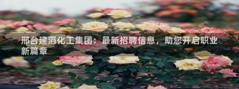 球盟会进不去球员吗
