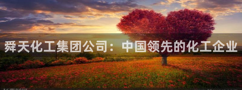 球盟会官方最新入口