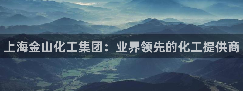 球盟会黑台子吗：上海金山化工集团：业界领先的化工提供商