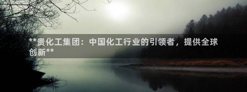 球盟会官方：**贵化工集团：中国化工行业的引领者，提供全球

