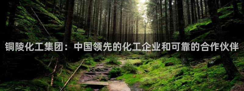 球盟会app最新地址在哪找：铜陵化工集团：中国领先的化工企业