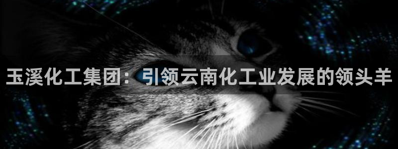 球盟会最新活动：玉溪化工集团：引领云南化工业发展的领头羊