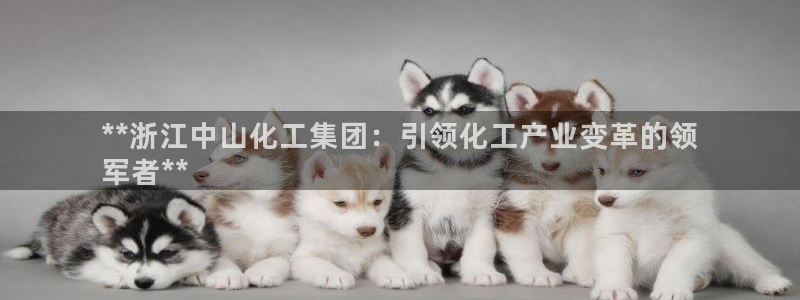 球盟会app最新地址在哪看：**浙江中山化工集团：引领化工产