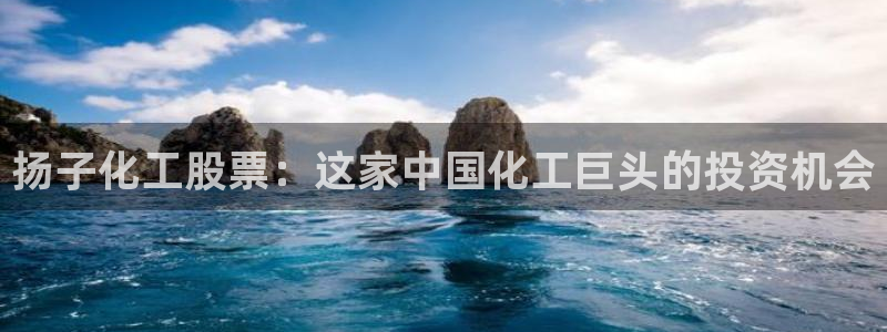 球盟会优惠领取网站：扬子化工股票：这家中国化工巨头的投资机会