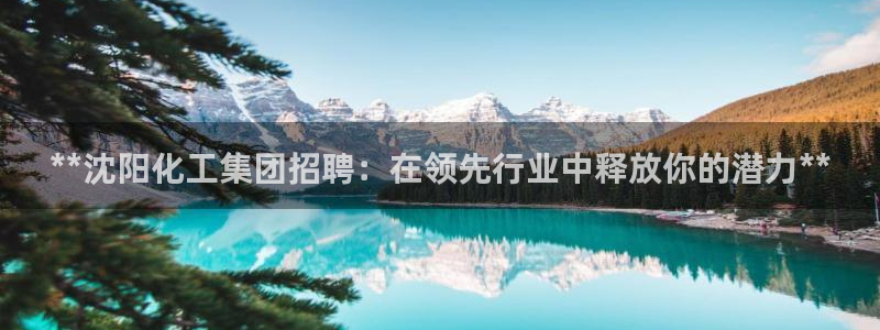 球盟会电子：**沈阳化工集团招聘：在领先行业中释放你的潜力*