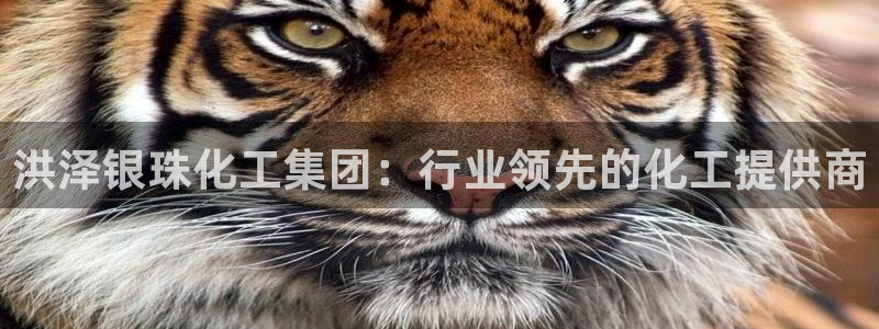 球盟会能提现吗：洪泽银珠化工集团：行业领先的化工提供商