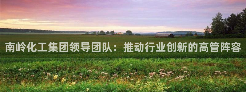 球盟会qm9：南岭化工集团领导团队：推动行业创新的高管阵容