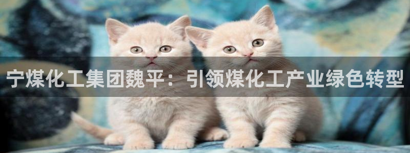 球盟会下款快吗：宁煤化工集团魏平：引领煤化工产业绿色转型