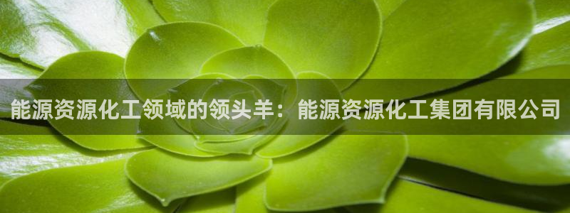 球盟会qm9：能源资源化工领域的领头羊：能源资源化工集团有限