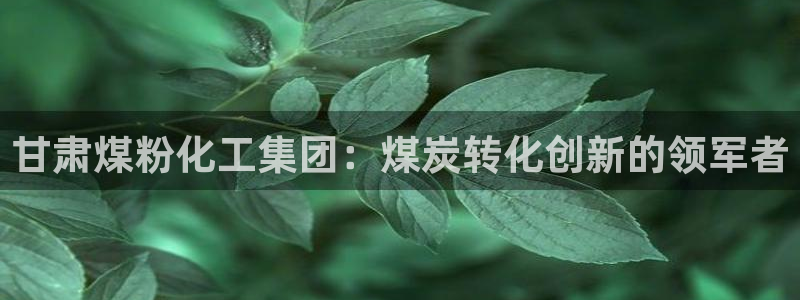 球盟会连接：甘肃煤粉化工集团：煤炭转化创新的领军者