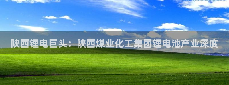 球盟会有没有黑单的活动：陕西锂电巨头：陕西煤业化工集团锂电池