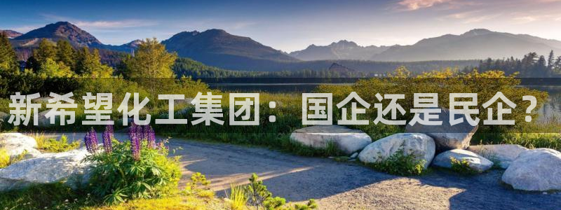 球盟会官方下载：新希望化工集团：国企还是民企？