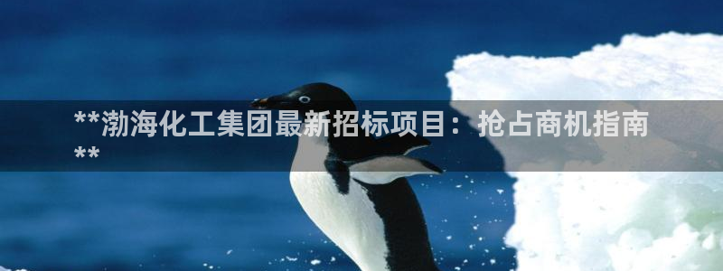球盟会可以提现么：**渤海化工集团最新招标项目：抢占商机指南