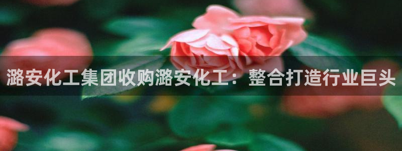 球盟会官方网站是什么