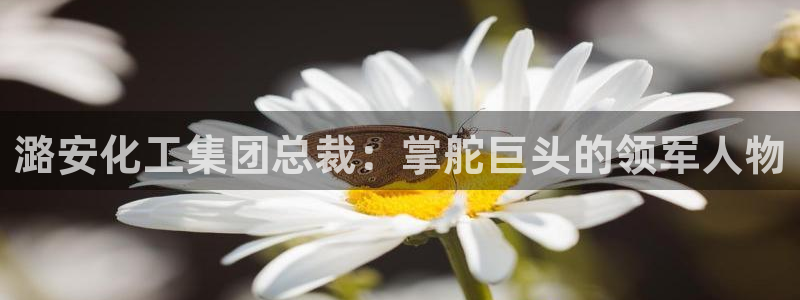 球盟会qmh网页版登录 - qm球盟会官方网站：潞安化工集团