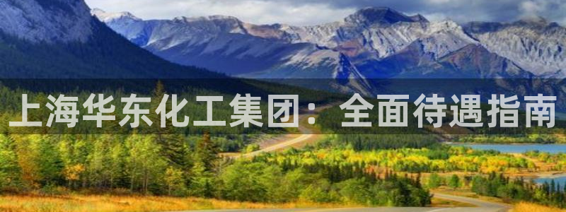 球盟会黑钱：上海华东化工集团：全面待遇指南