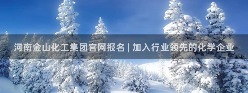球盟会APP下载：河南金山化工集团官网报名 | 加入行业领先
