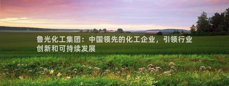 球盟会登陆：鲁光化工集团：中国领先的化工企业，引领行业
创新
