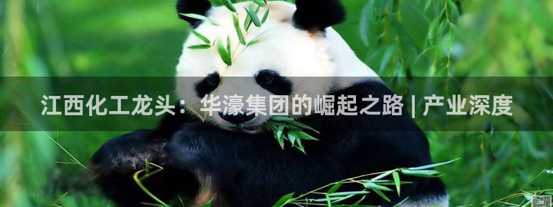 球盟会和中欧会的区别：江西化工龙头：华濠集团的崛起之路 | 