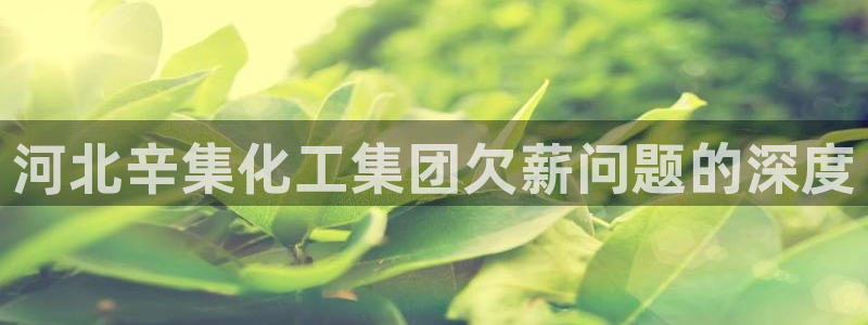 球盟会网页登录app下载地址：河北辛集化工集团欠薪问题的深度