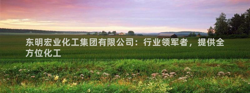 球盟会网页版登陆：东明宏业化工集团有限公司：行业领军者，提供