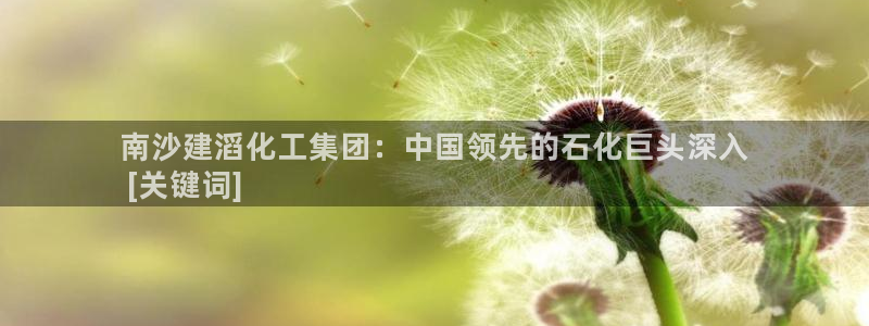 球盟会和中欧会的区别：南沙建滔化工集团：中国领先的石化巨头深