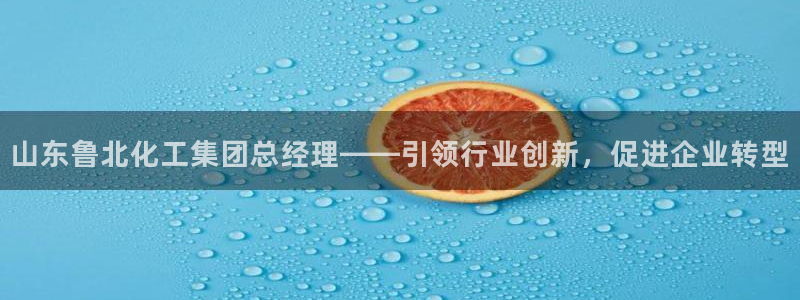 球盟会黑款吗知乎：山东鲁北化工集团总经理——引领行业创新，促