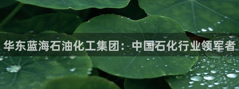 球盟会入口：华东蓝海石油化工集团：中国石化行业领军者