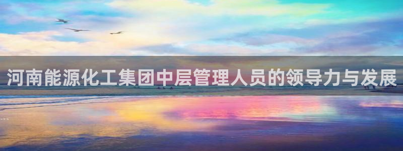 球盟会有没有黑单的活动：河南能源化工集团中层管理人员的领导力