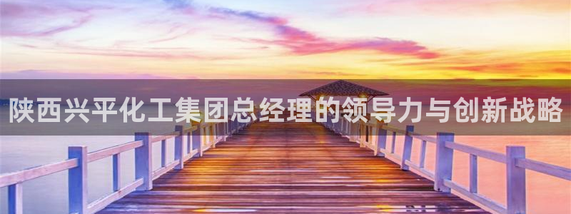 球盟会论坛：陕西兴平化工集团总经理的领导力与创新战略