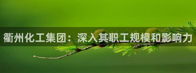 球盟会官方最新入口：衢州化工集团：深入其职工规模和影响力