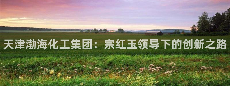 球盟会黑嘛：天津渤海化工集团：宗红玉领导下的创新之路