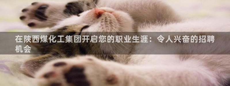 球盟会能提现吗：在陕西煤化工集团开启您的职业生涯：令人兴奋的