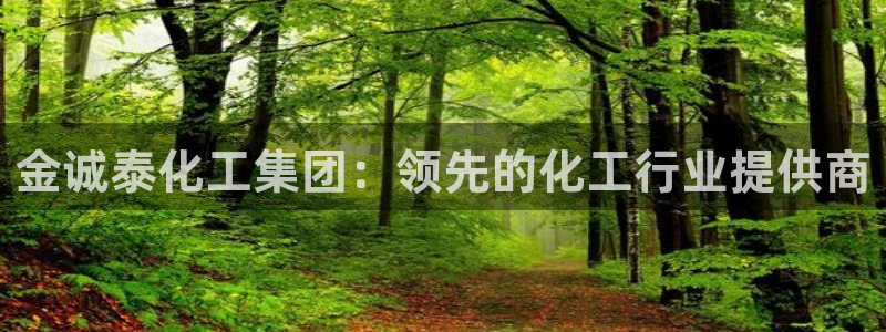 球盟会qm9：金诚泰化工集团：领先的化工行业提供商