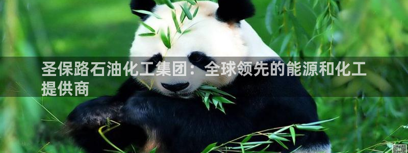 球盟会网址：圣保路石油化工集团：全球领先的能源和化工
提供商