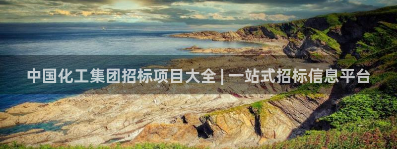 球盟会可以提现么：中国化工集团招标项目大全 | 一站式招标信