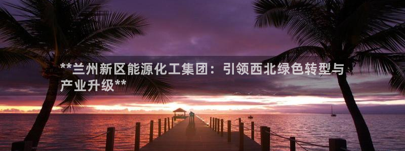 球盟会app最新地址下载安装：**兰州新区能源化工集团：引领