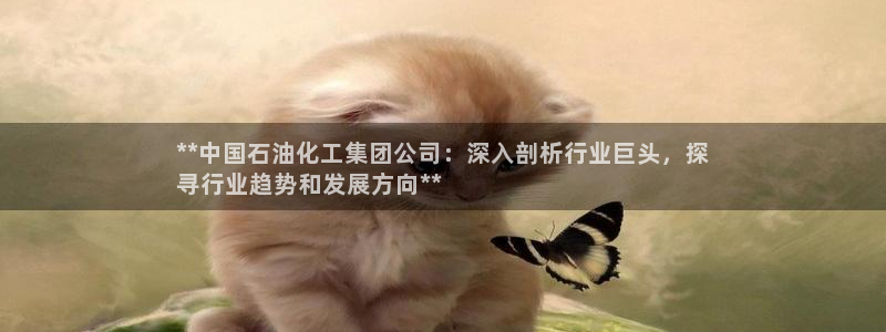 球盟会黑平台：**中国石油化工集团公司：深入剖析行业巨头，探