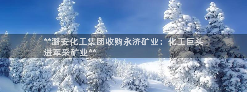 球盟会进不去球员吗：**潞安化工集团收购永济矿业：化工巨头
