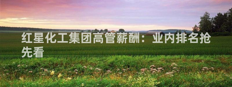 球盟会黑款吗知乎：红星化工集团高管薪酬：业内排名抢
先看