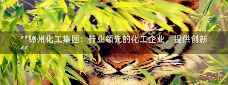 球盟会能提现吗安全吗：**锦州化工集团：行业领先的化工企业，