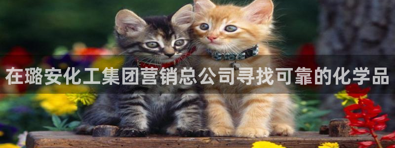 球盟会论坛：在璐安化工集团营销总公司寻找可靠的化学品