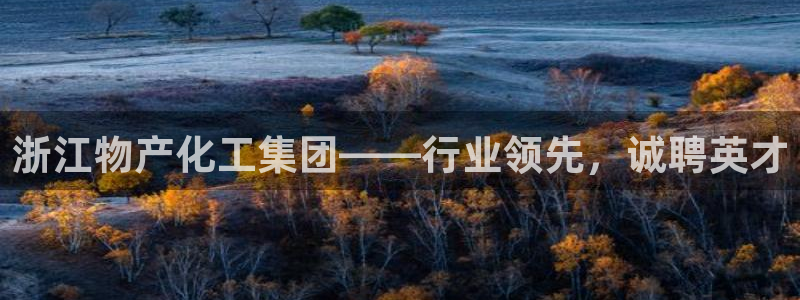 球盟会体验金：浙江物产化工集团——行业领先，诚聘英才