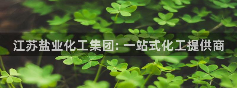 球盟会官方入口：江苏盐业化工集团: 一站式化工提供商