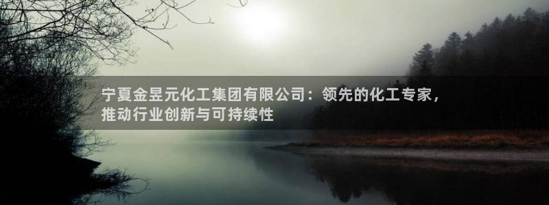 球盟会综合体育平台：宁夏金昱元化工集团有限公司：领先的化工专